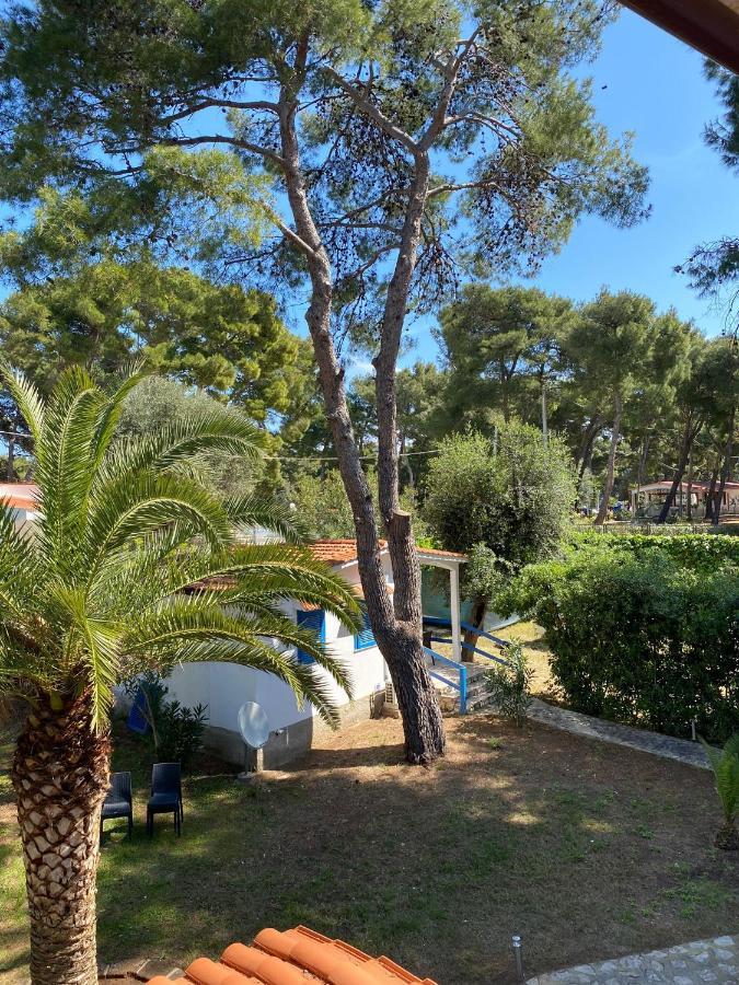 Appartamenti La Villa Пескічі Екстер'єр фото